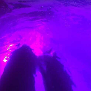 日韩ticktick挠双乳丨∨K
