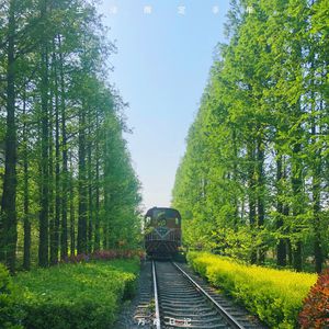 日韩ticktick挠双乳丨∨K
