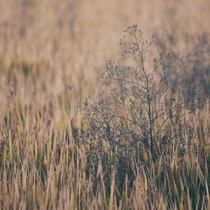 日韩ticktick挠双乳丨∨K
